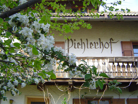 Residence Pichlerhof Rasen-Antholz/Rasun Anterselva 1 suedtirol.info