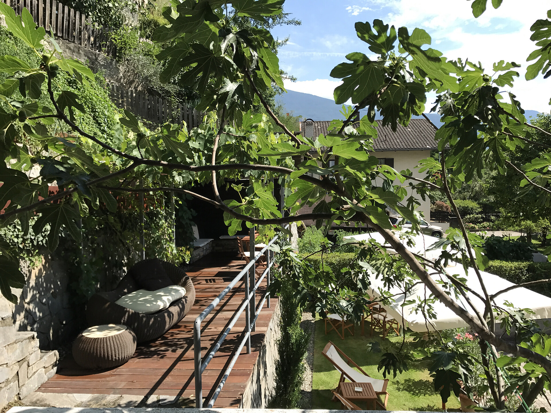 Pergola