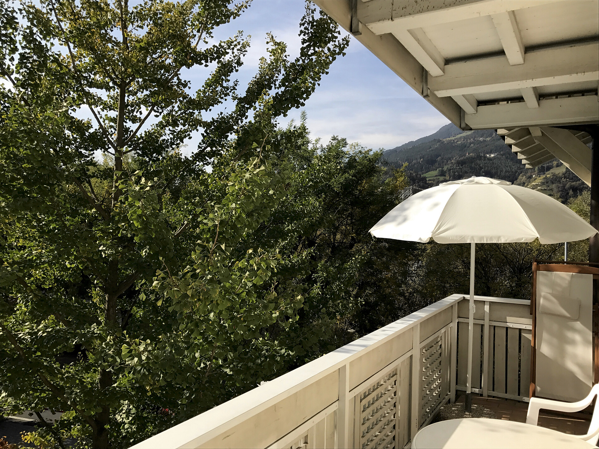 Vista