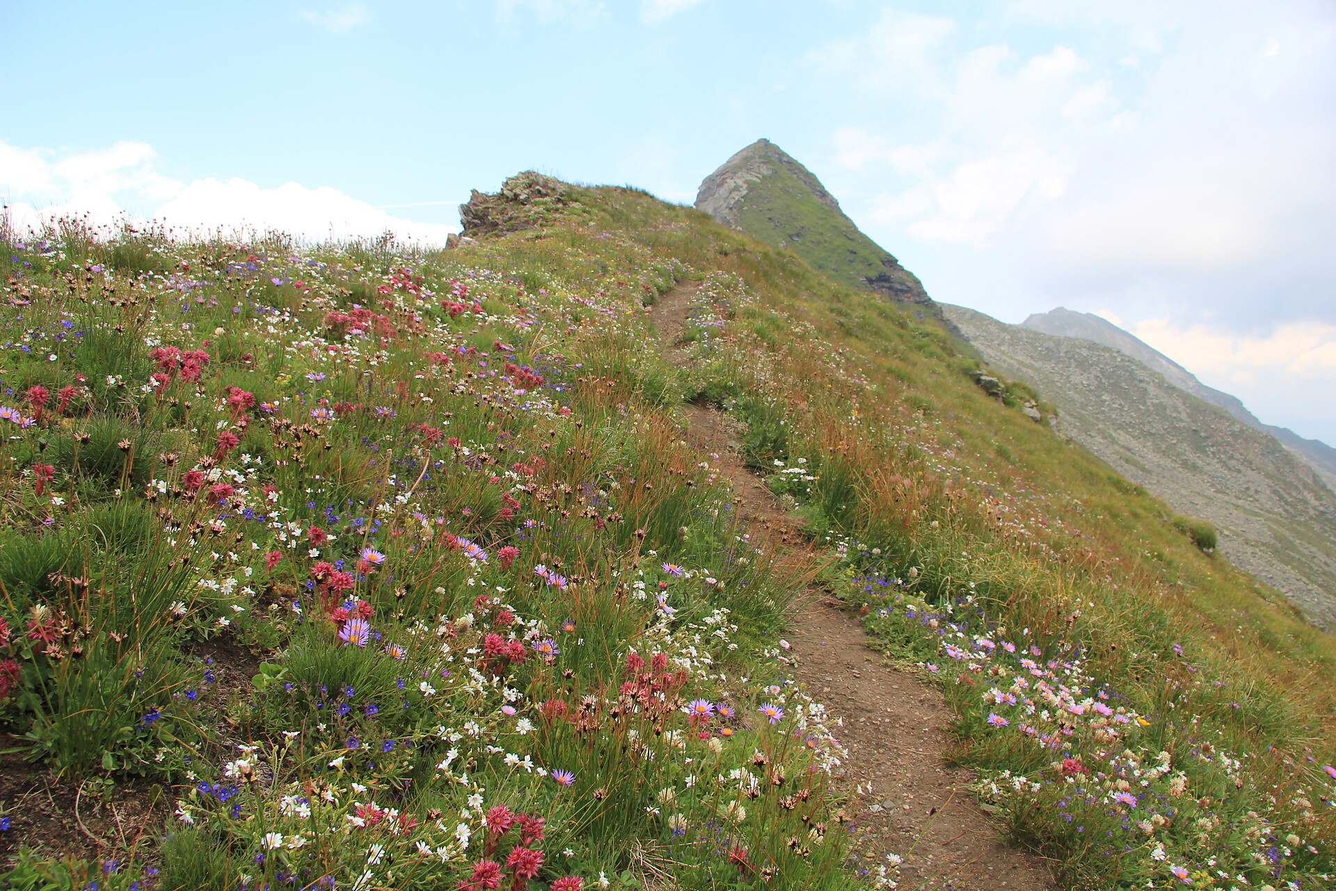 mountain range