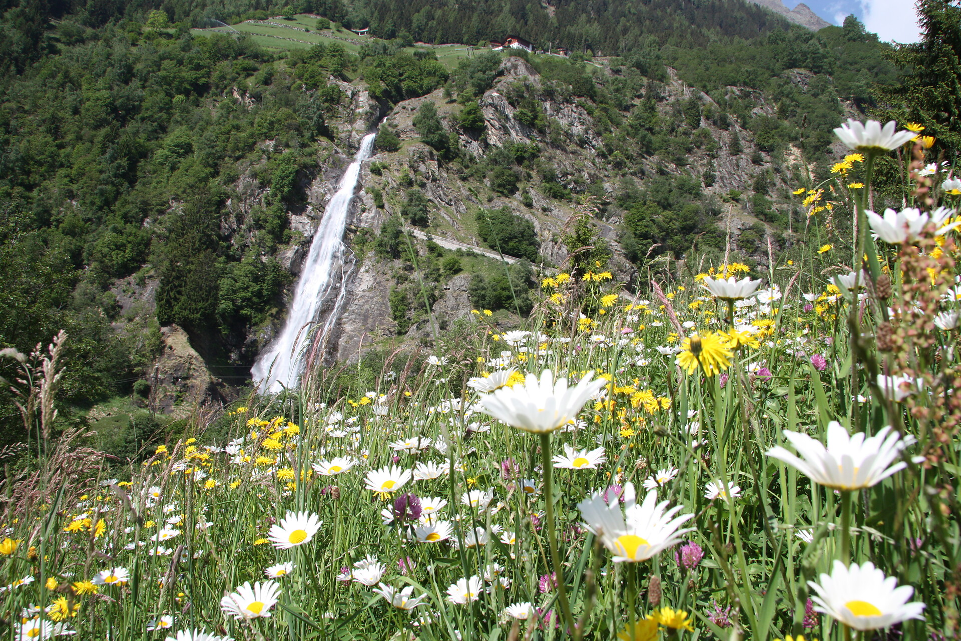 waterfall