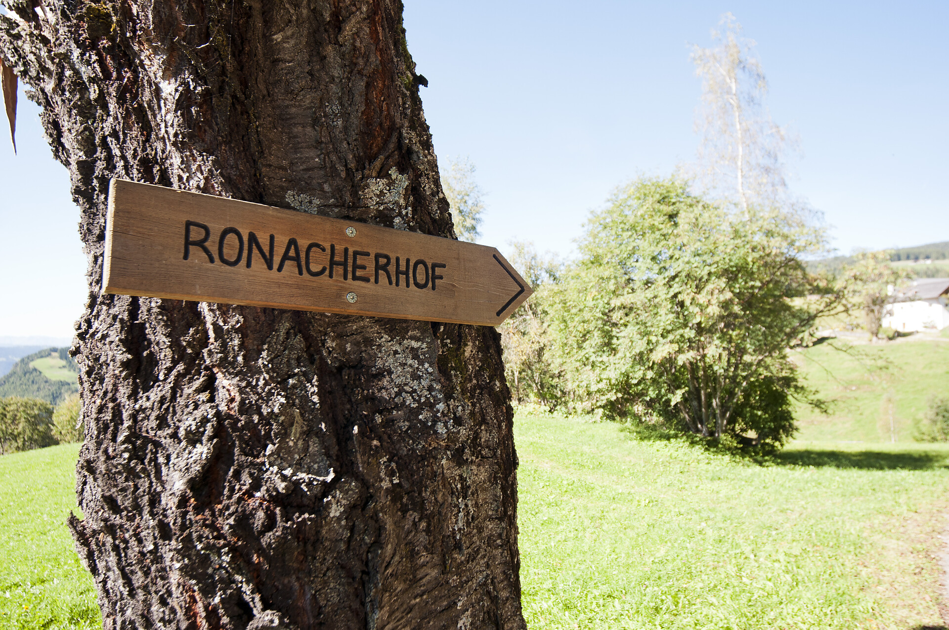Ronacherhof Klobenstein Ritten
