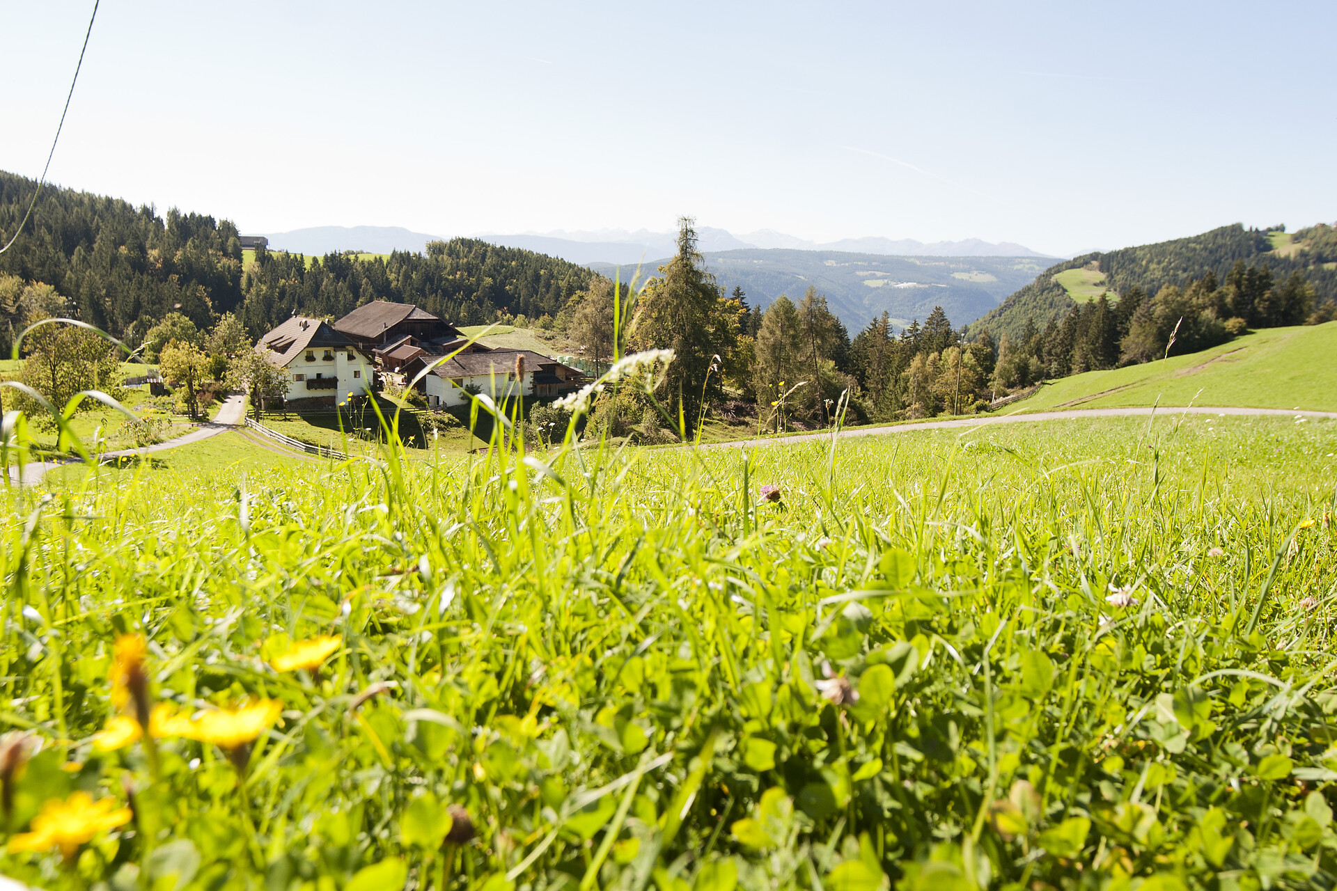 Ronacherhof Klobenstein Ritten