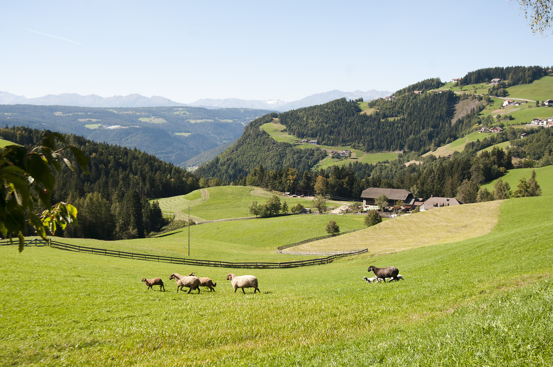 Ronacherhof Klobenstein Ritten