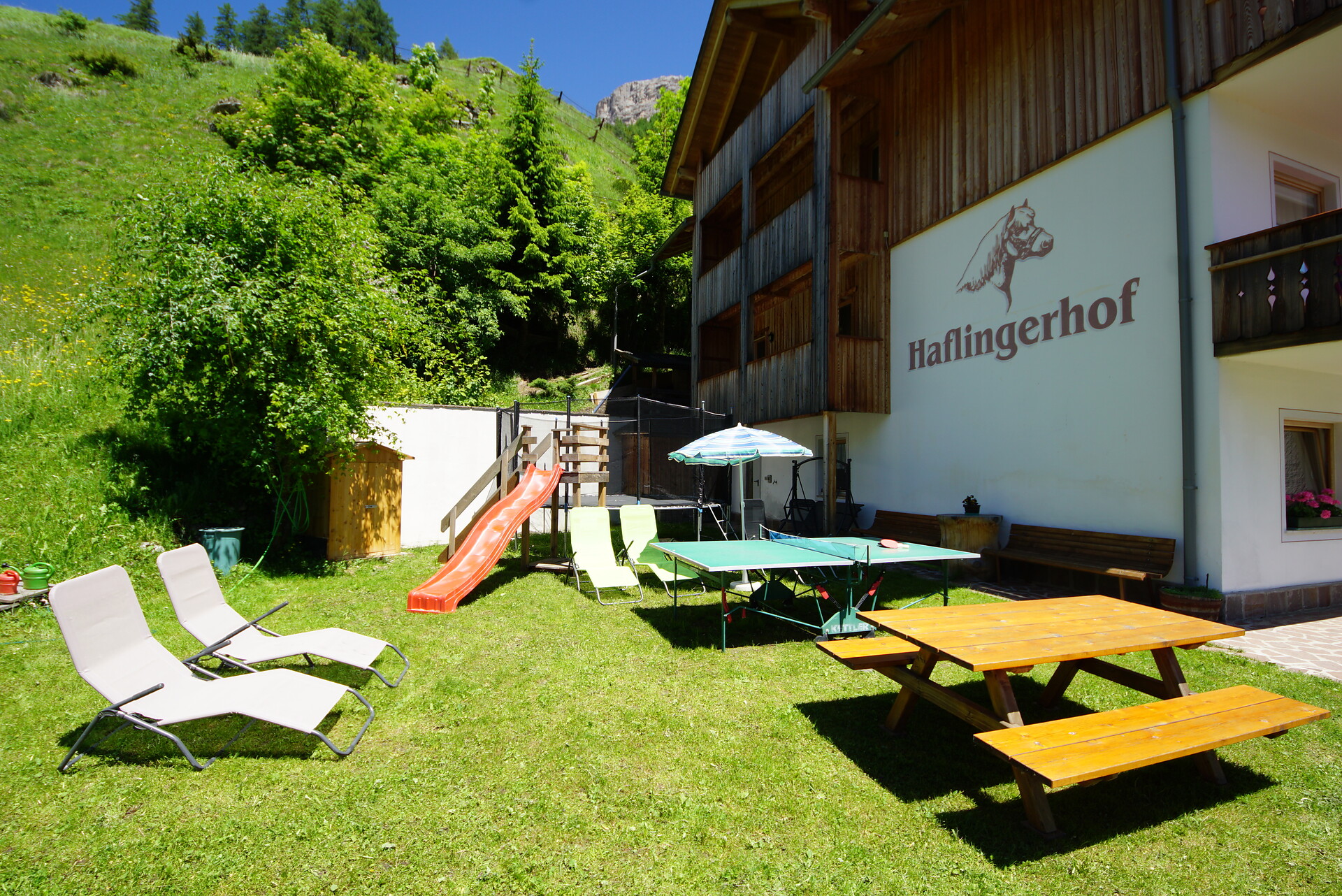 Haflingerhof