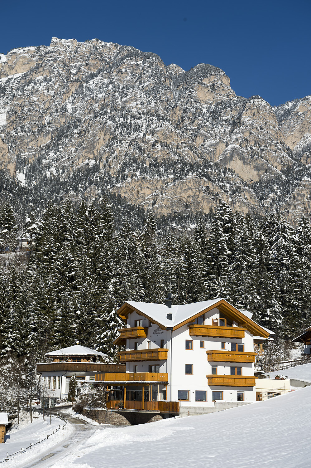 Winter view