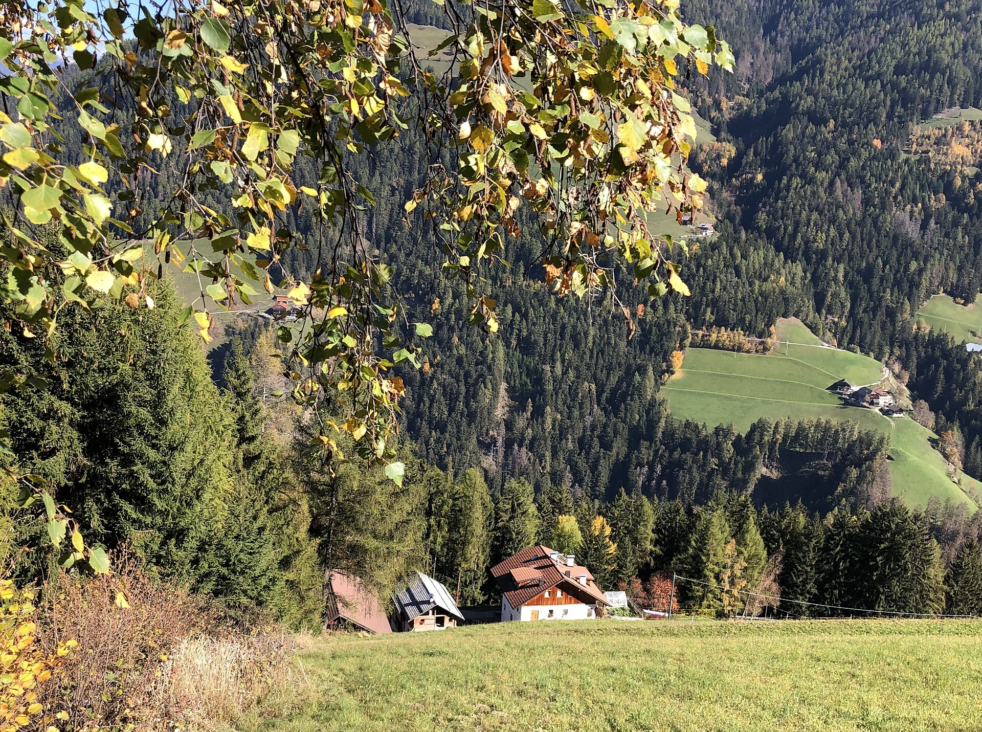 autunno