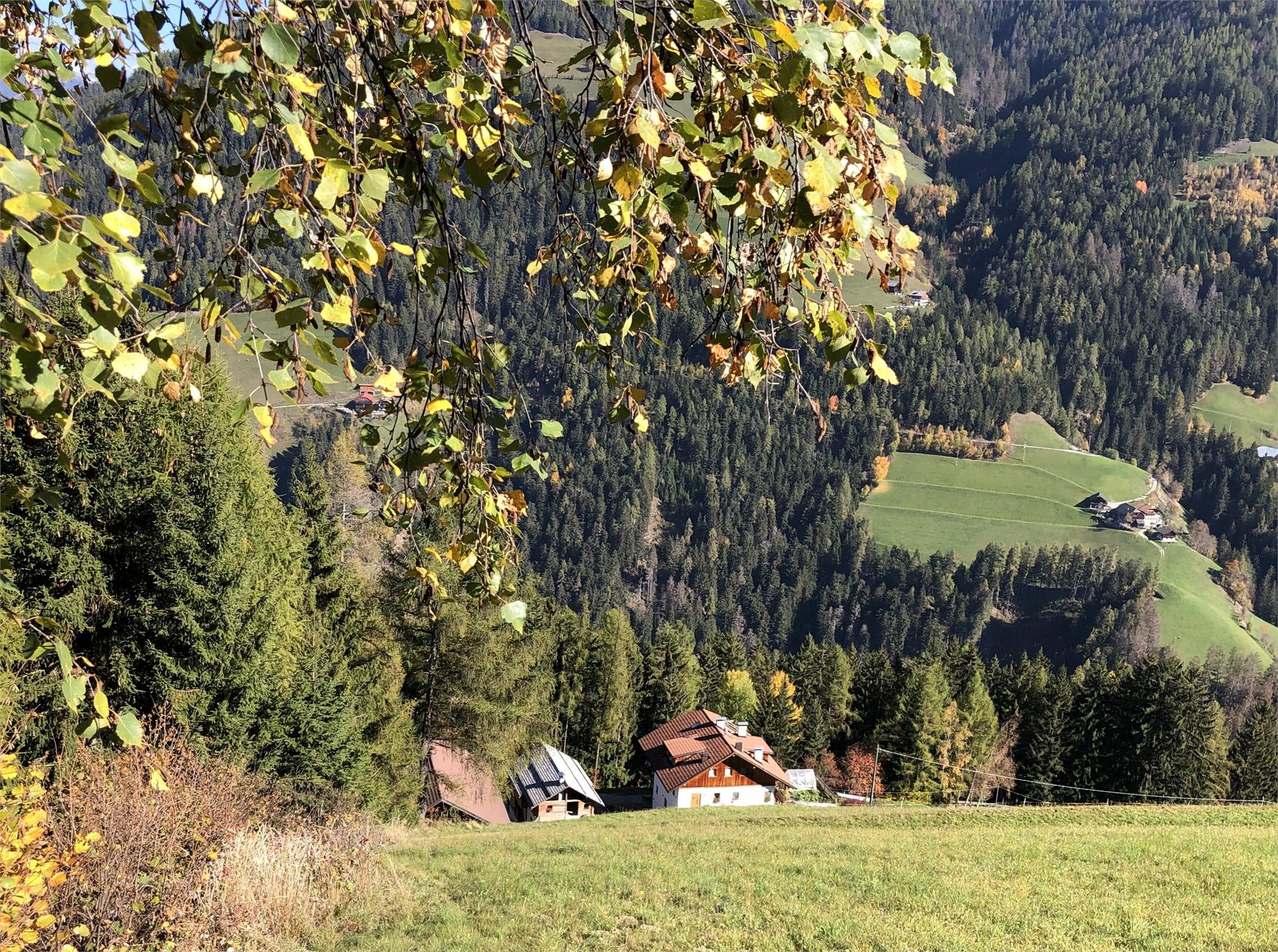 Ringgelinhof St.Lorenzen/San Lorenzo di Sebato 8 suedtirol.info