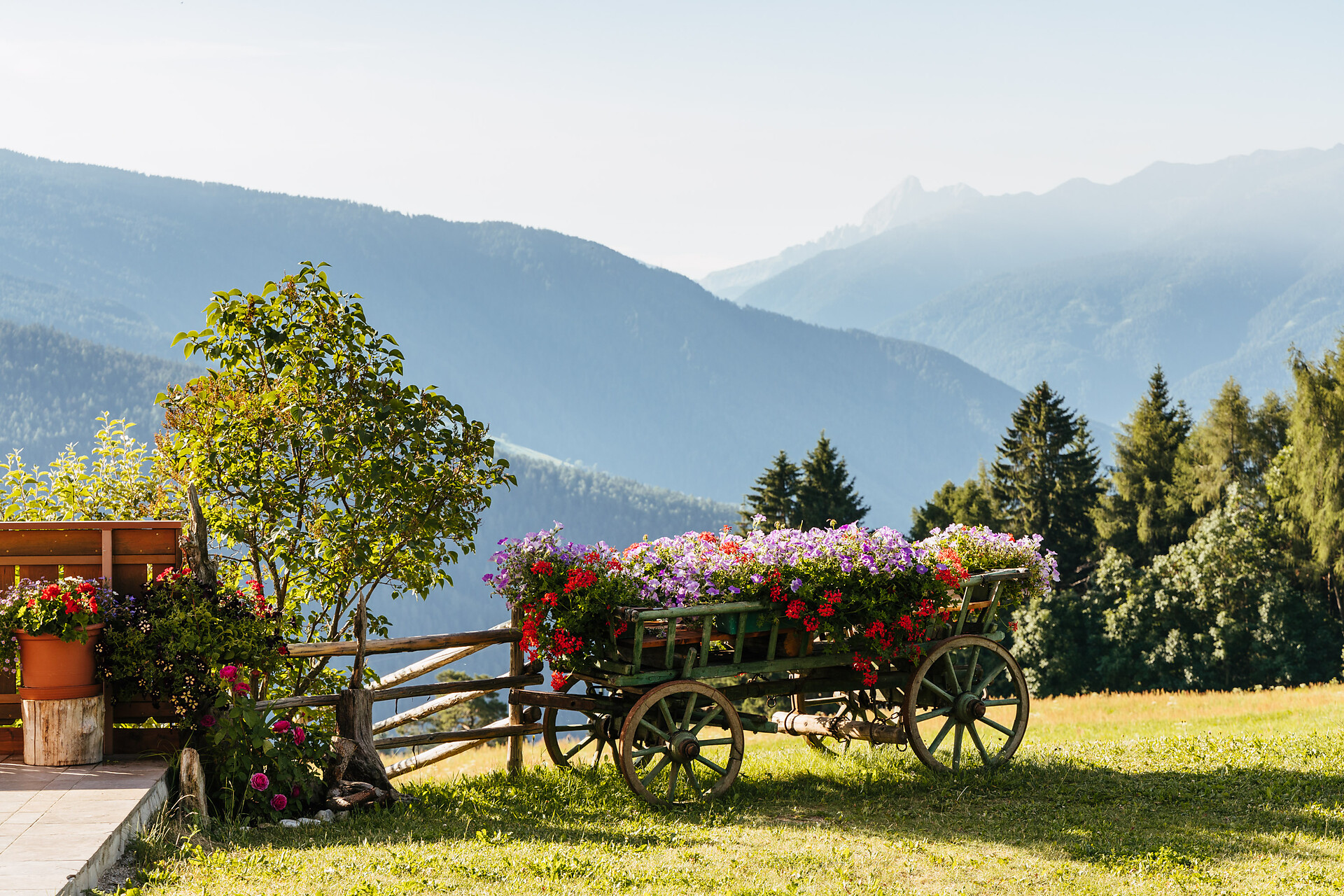 Residence Speckerhof Ausblick