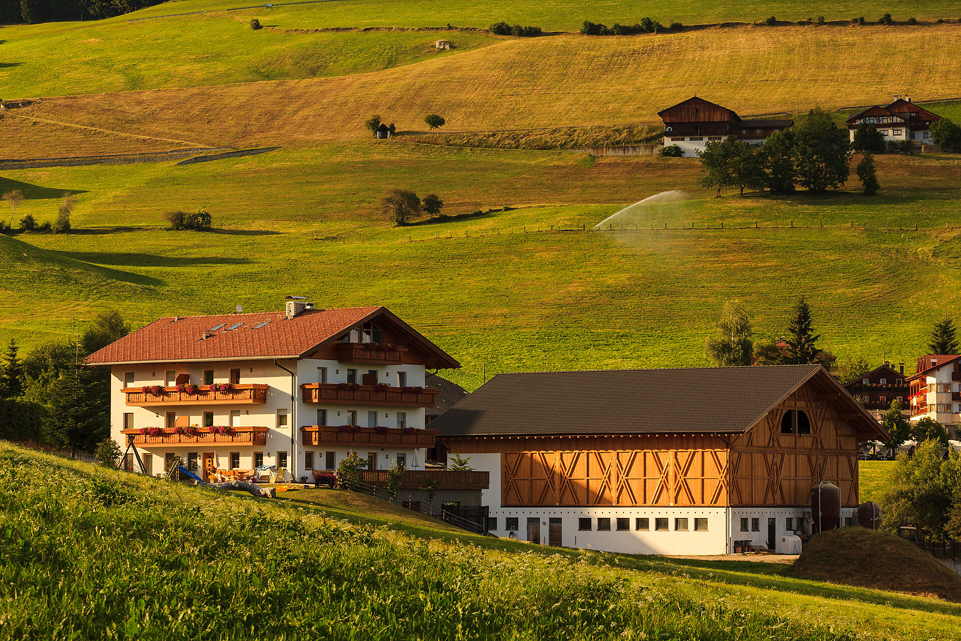 Residence Speckerhof Sommer
