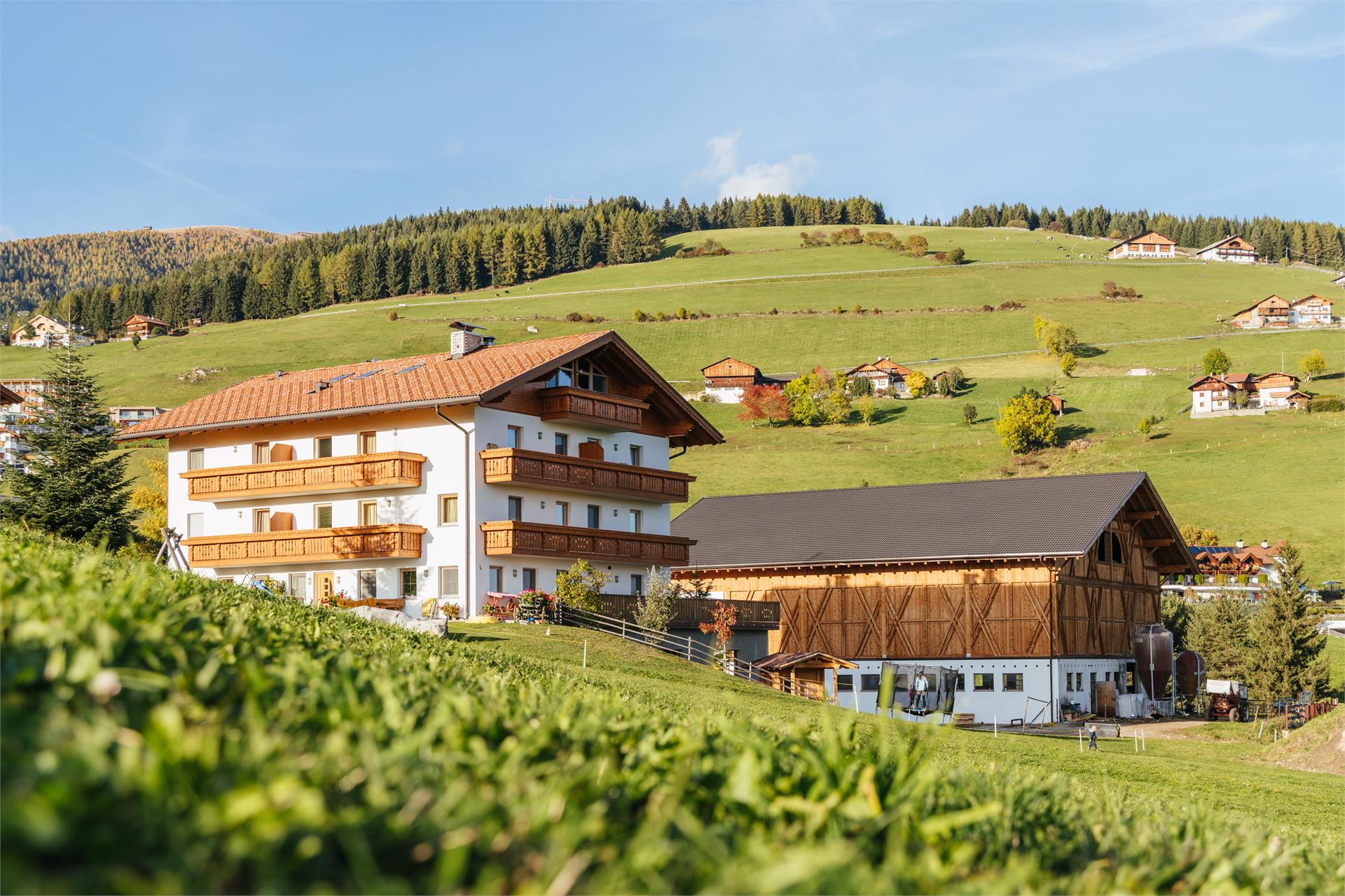 Residence Speckerhof Mühlbach/Rio di Pusteria 6 suedtirol.info