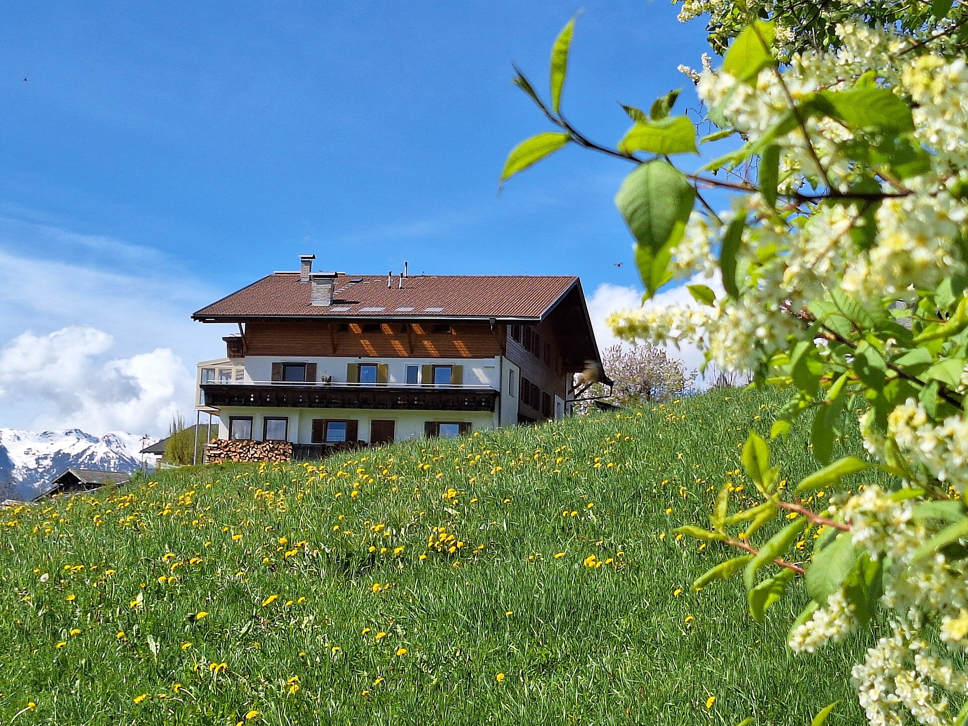 Residence Rastbichl Rio di Pusteria 1 suedtirol.info