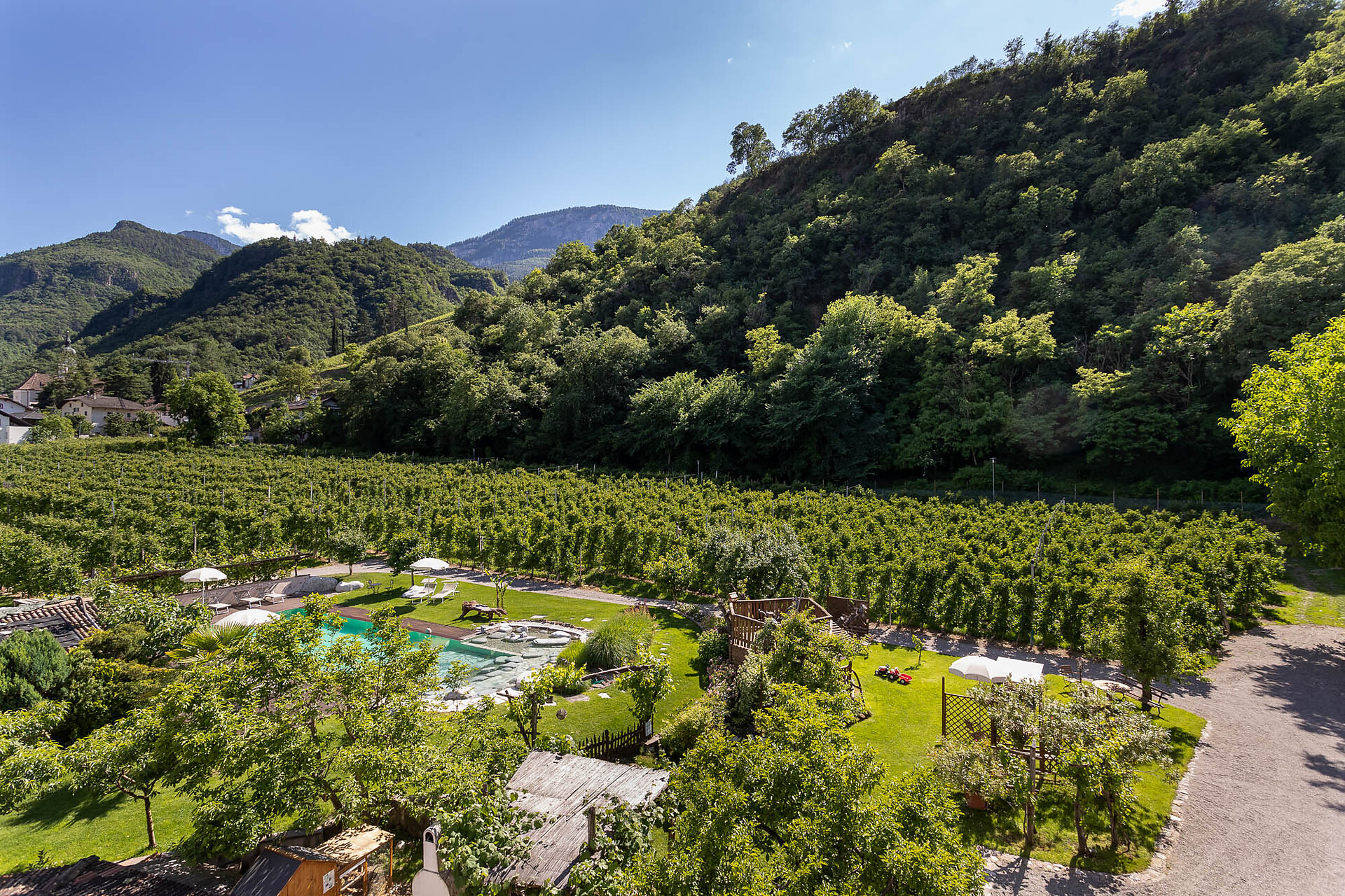 Blick zum Pool und Apfelplantage App. Merlot