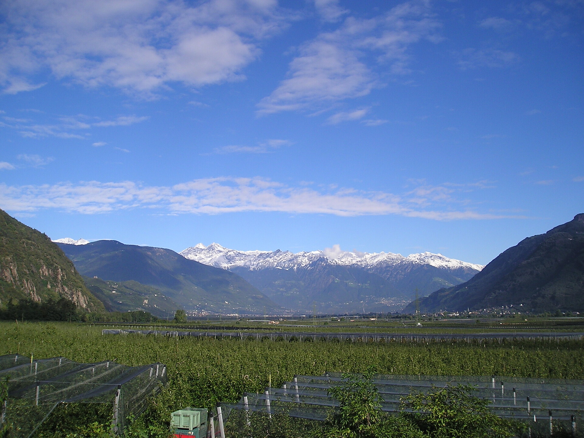 Aussicht nach Meran