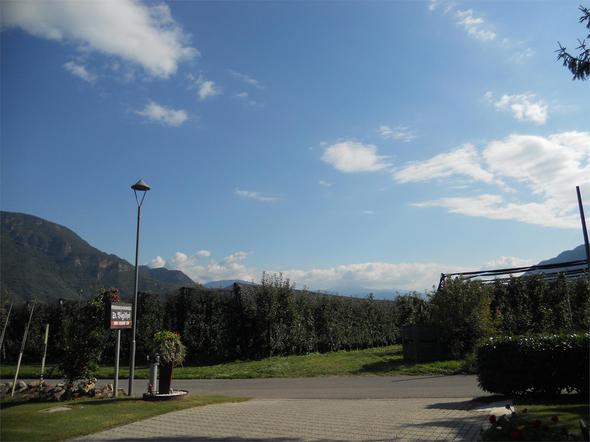Residence St. Vigilhof Nals/Nalles 13 suedtirol.info