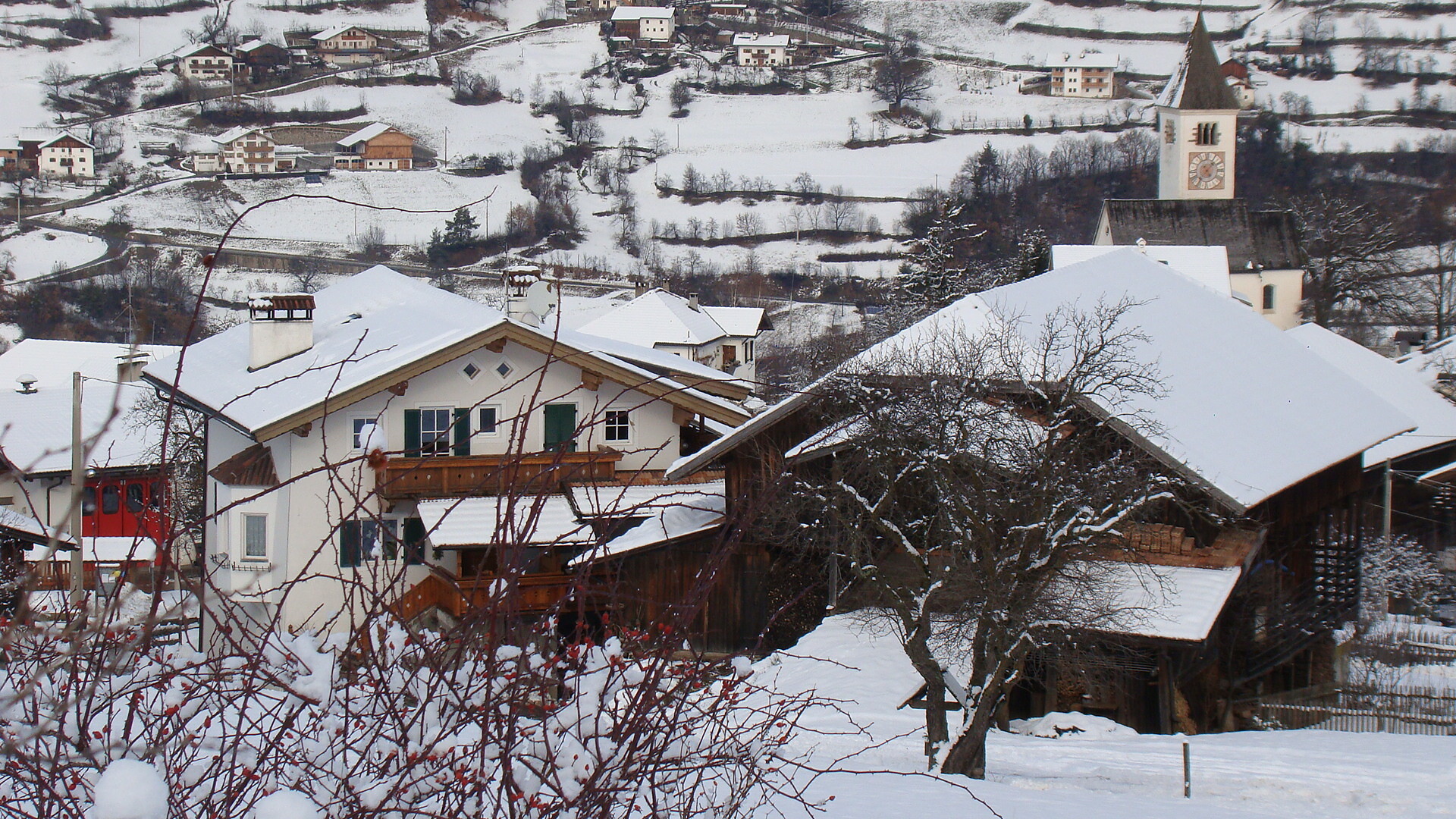 Winter