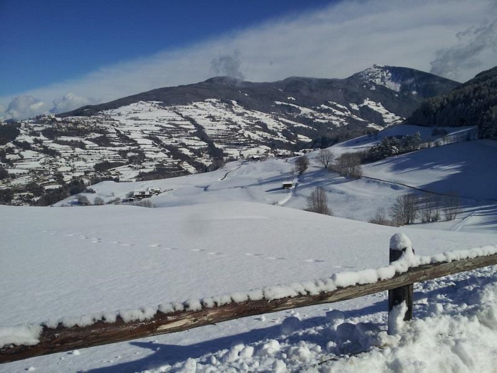 Winter