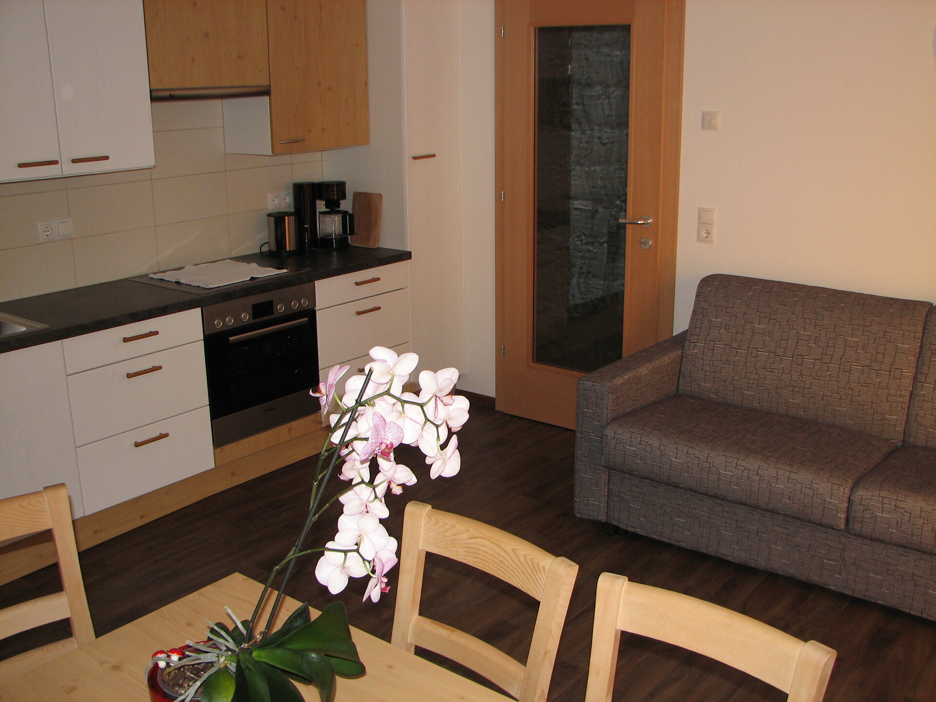 Kitchen and living room
