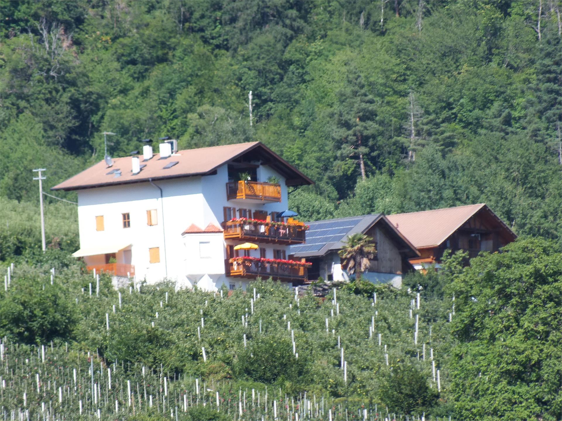 Rastenfeldhof Partschins 2 suedtirol.info