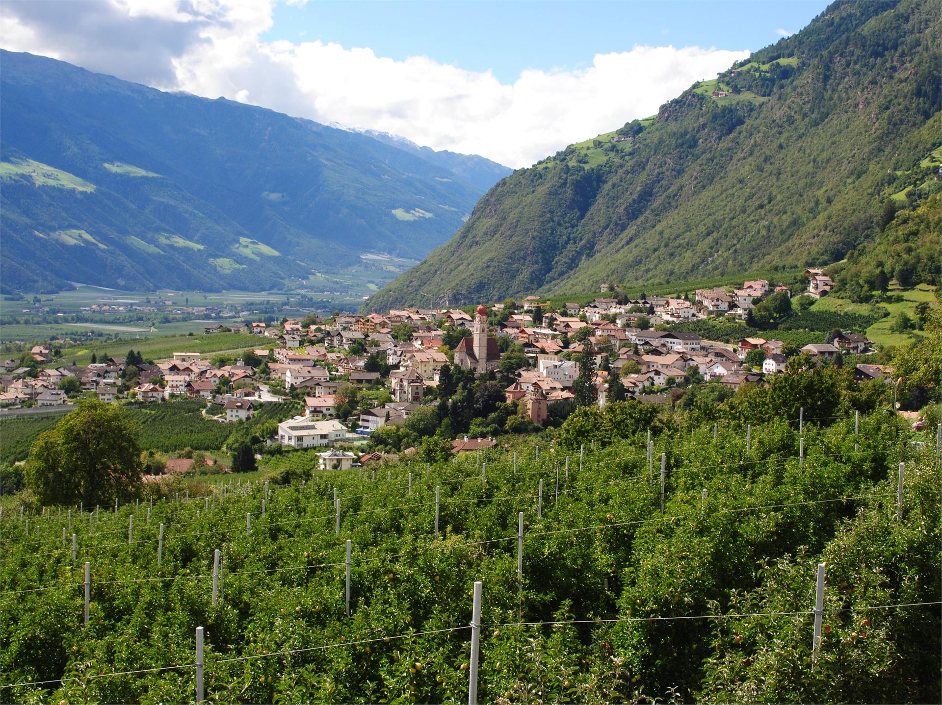 Rastenfeldhof Partschins 1 suedtirol.info
