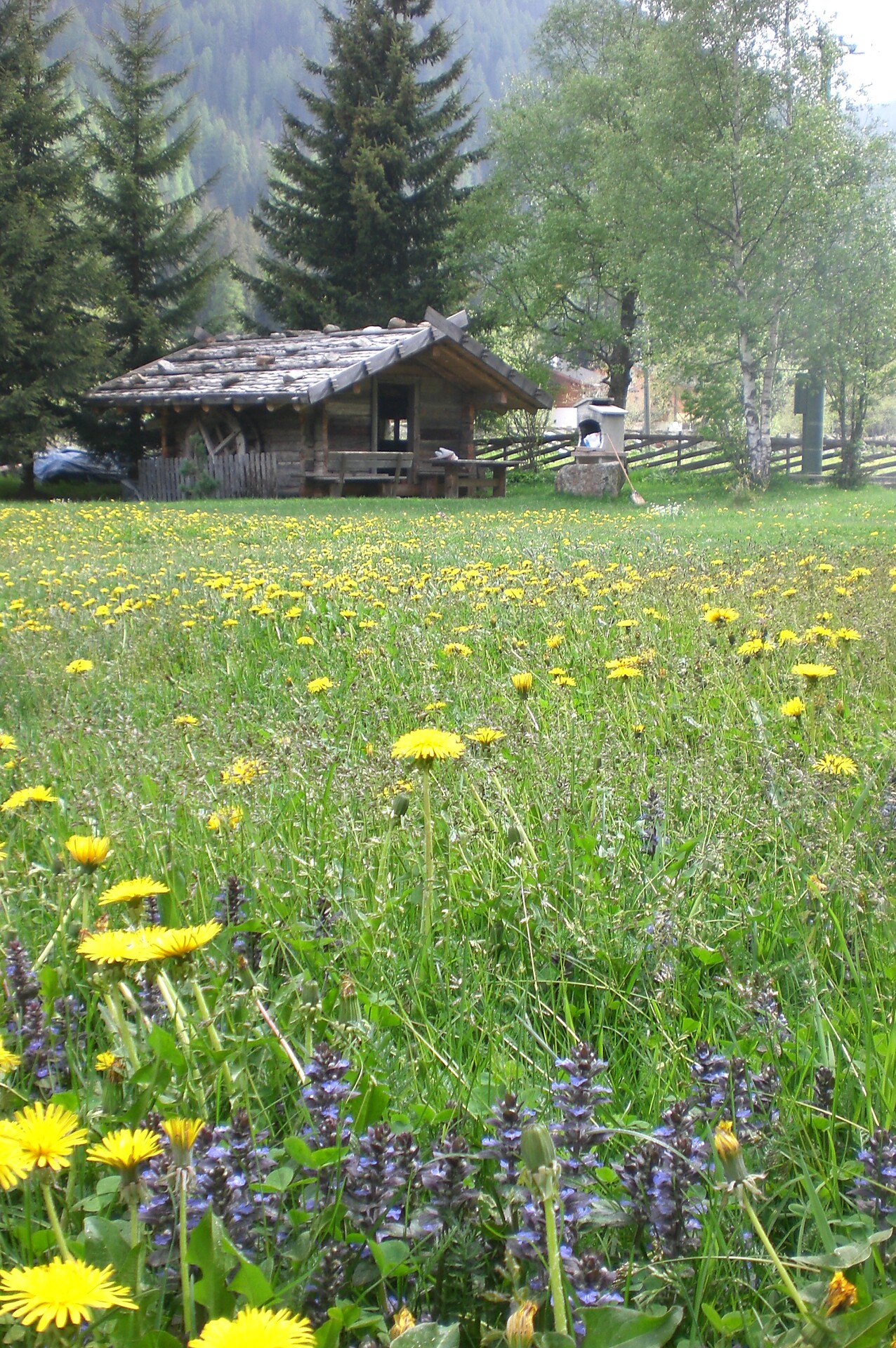 Residence Bäckerhaus - Meran und Umgebung - #2 - suedtirol.info