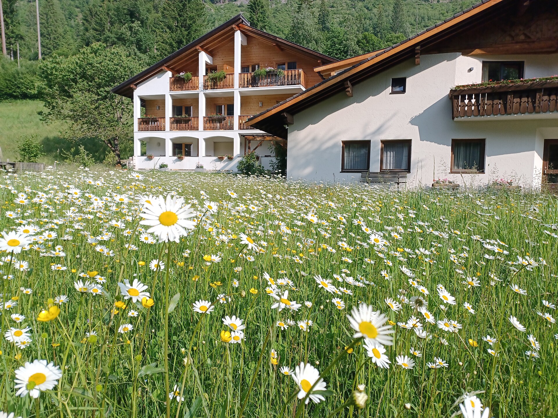 Residence Bäckerhaus - Meran und Umgebung - #1 - suedtirol.info