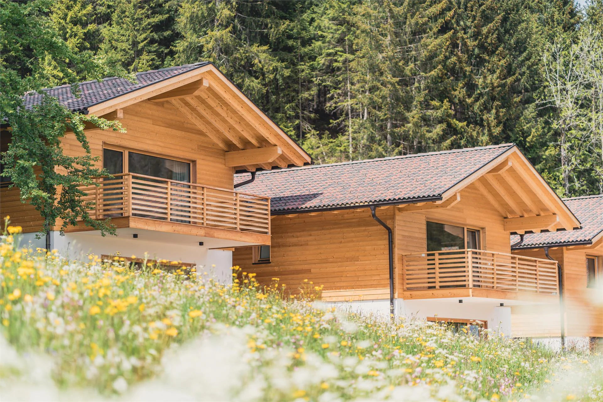 Residence Waldrelax Senale-S.Felice 4 suedtirol.info