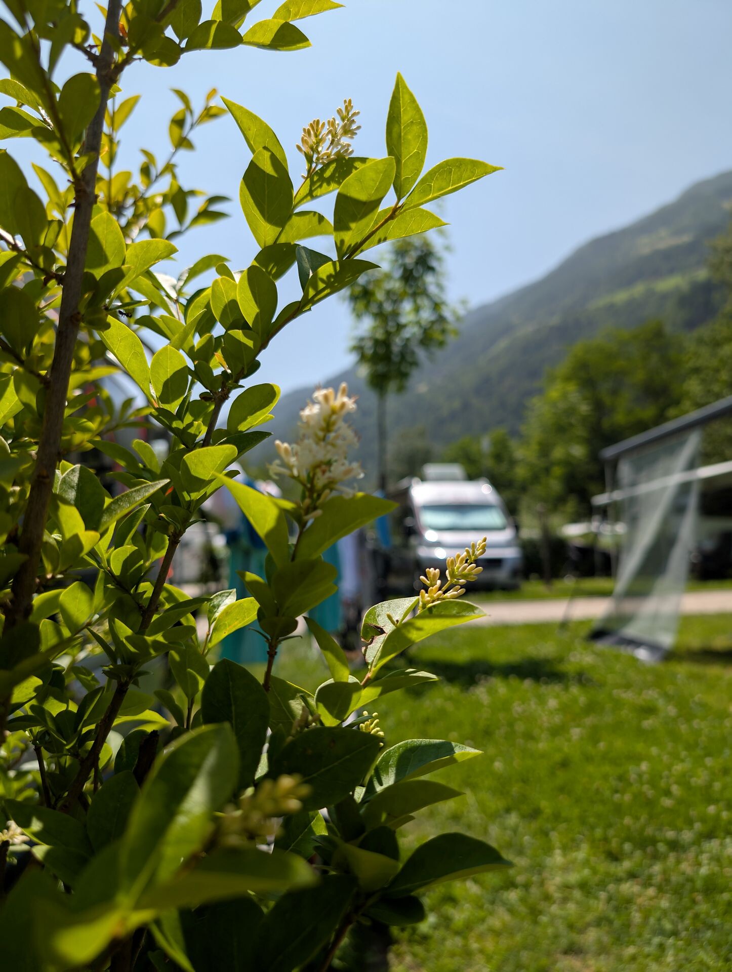 Radlstadl Camping Saltaus