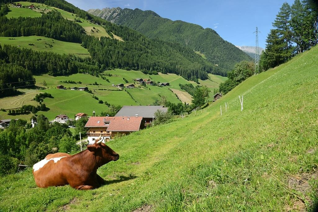 Rainer in der Baurschaft Ahrntal 19 suedtirol.info