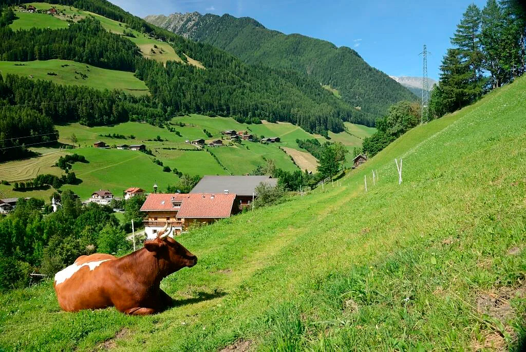 Rainer in der Baurschaft Valle Aurina 19 suedtirol.info