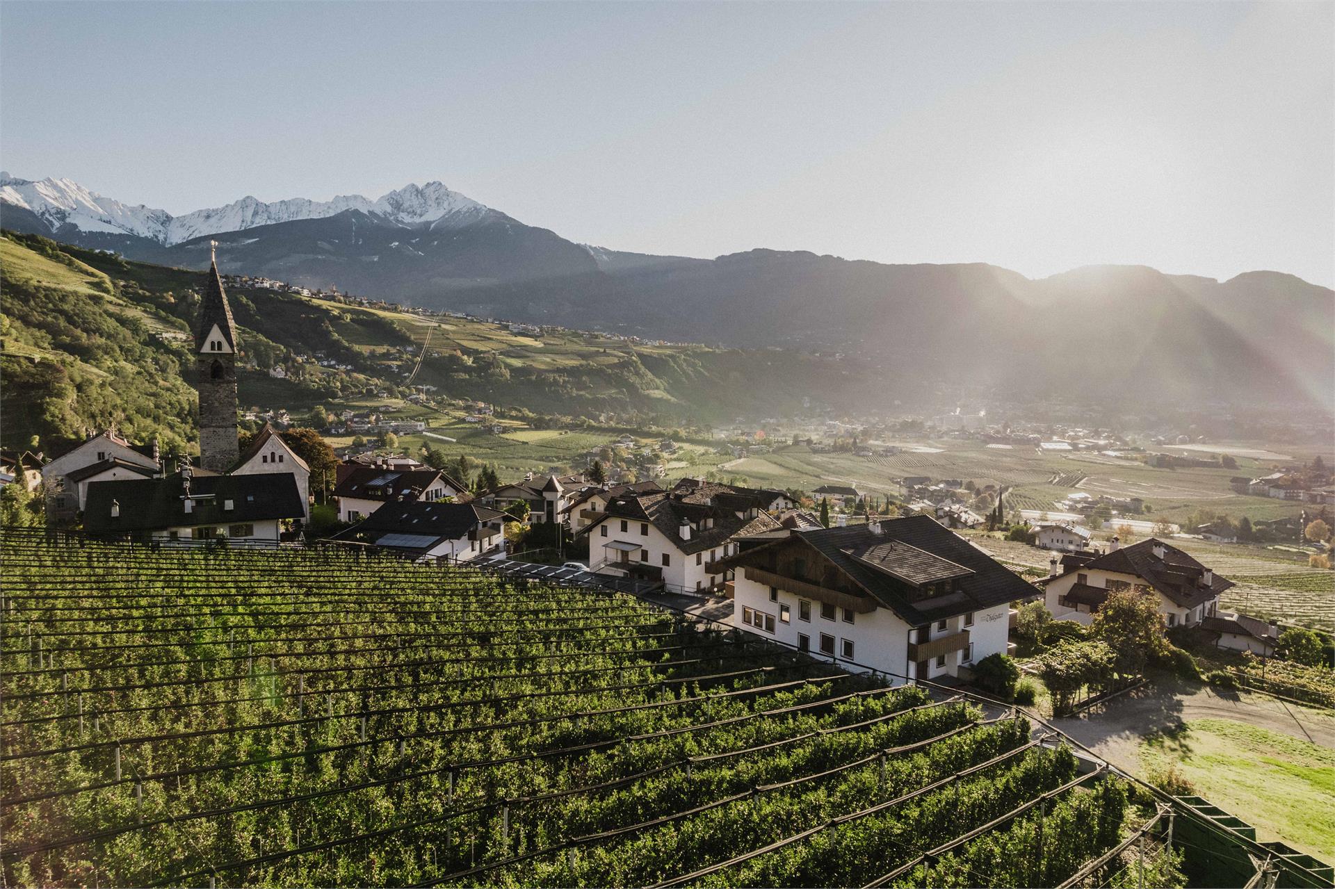Thalguter Apartments & Breakfast Algund 1 suedtirol.info