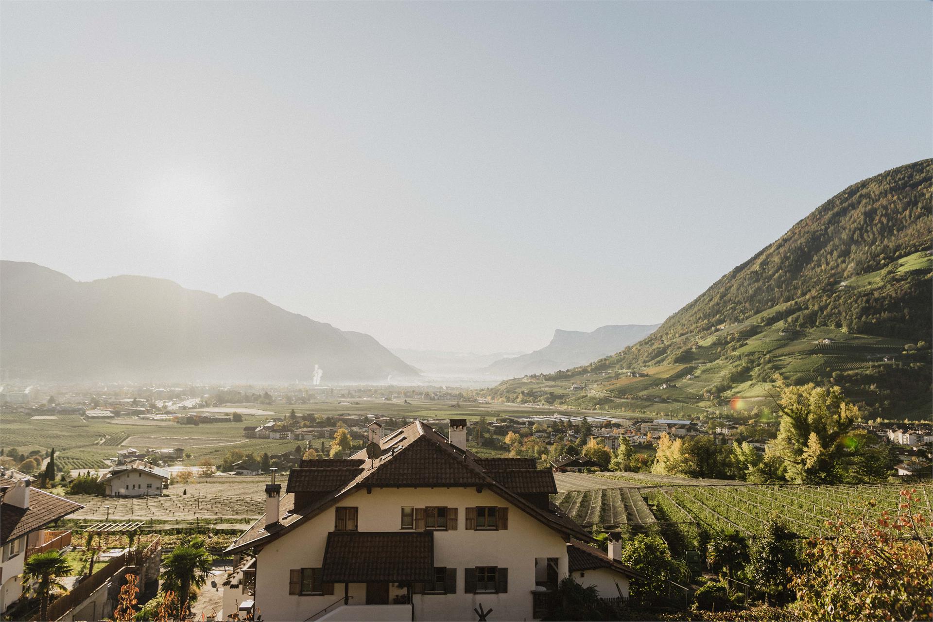 Thalguter Apartments & Breakfast Algund 4 suedtirol.info
