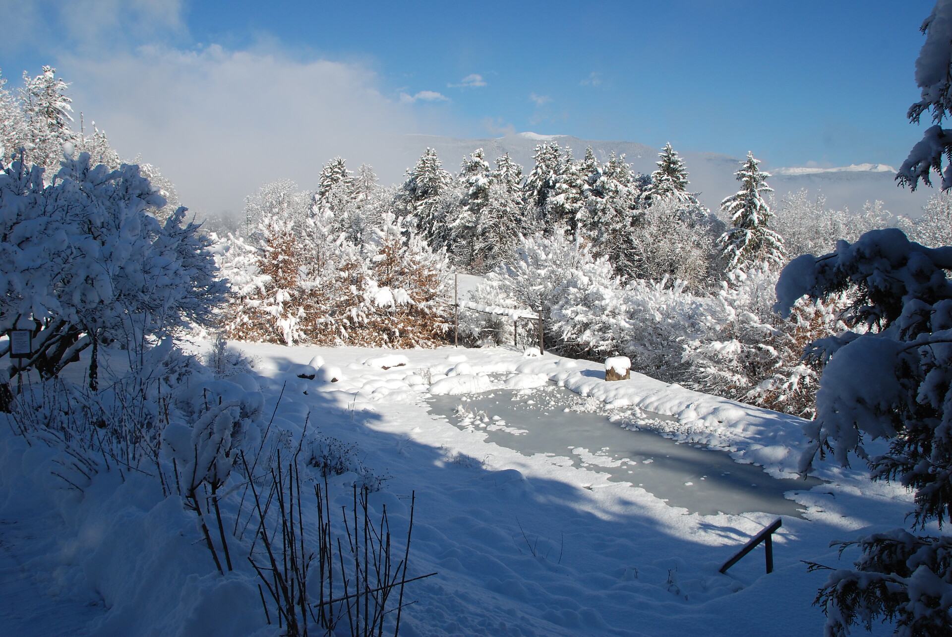 Winter am Teich