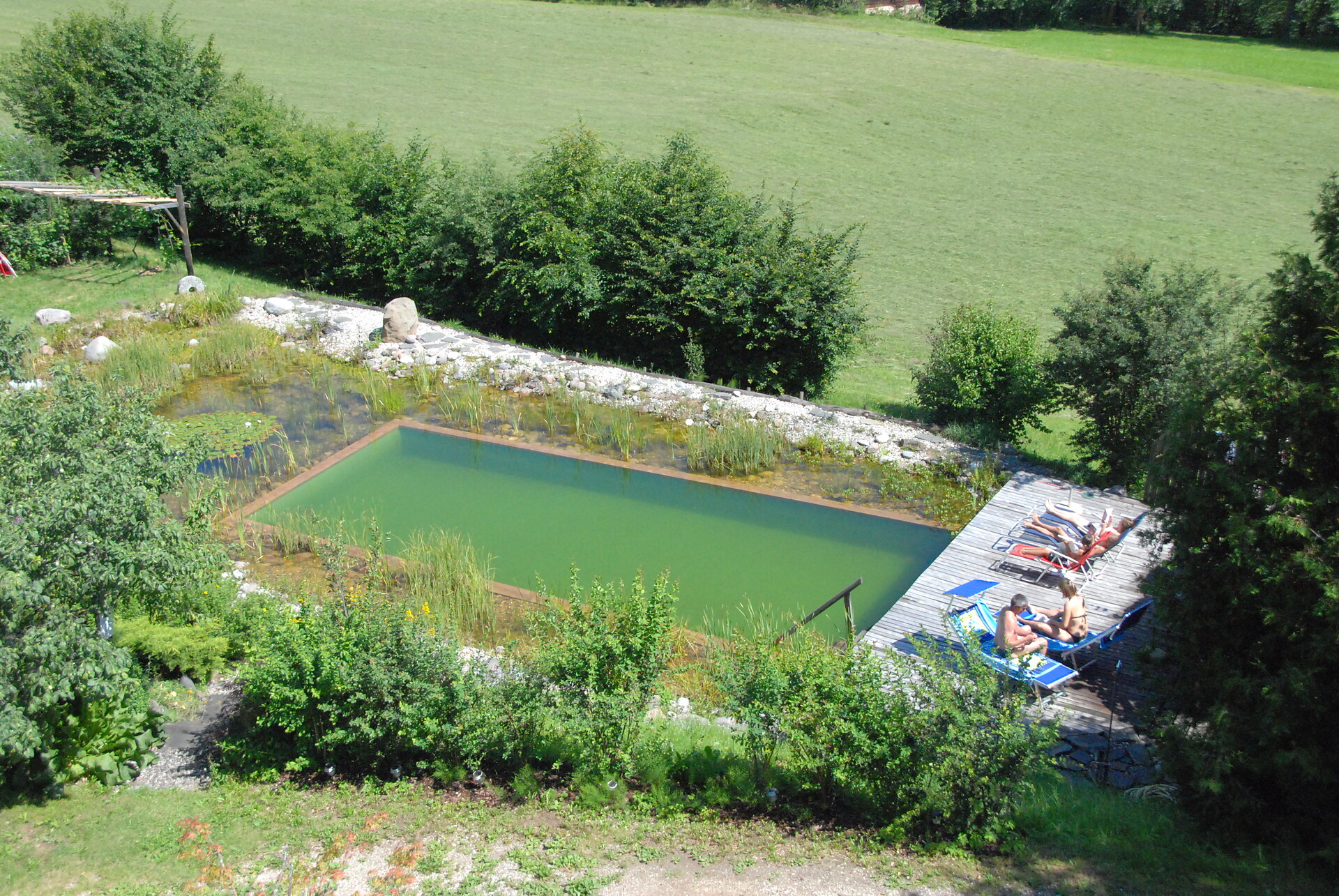 Schwimmteich