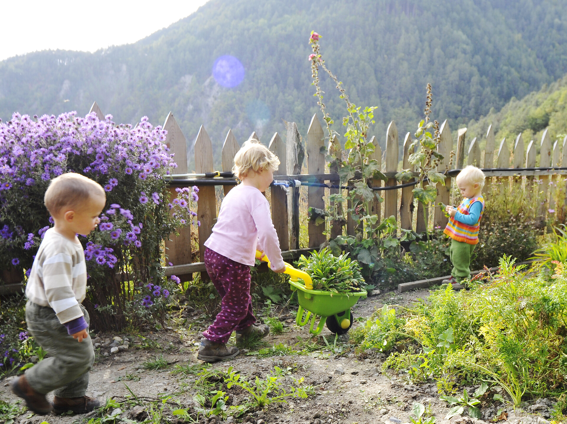 Bambini nel giardino