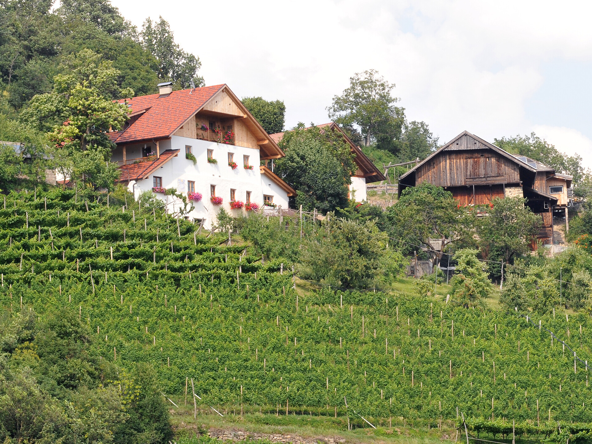 Rielingerhof