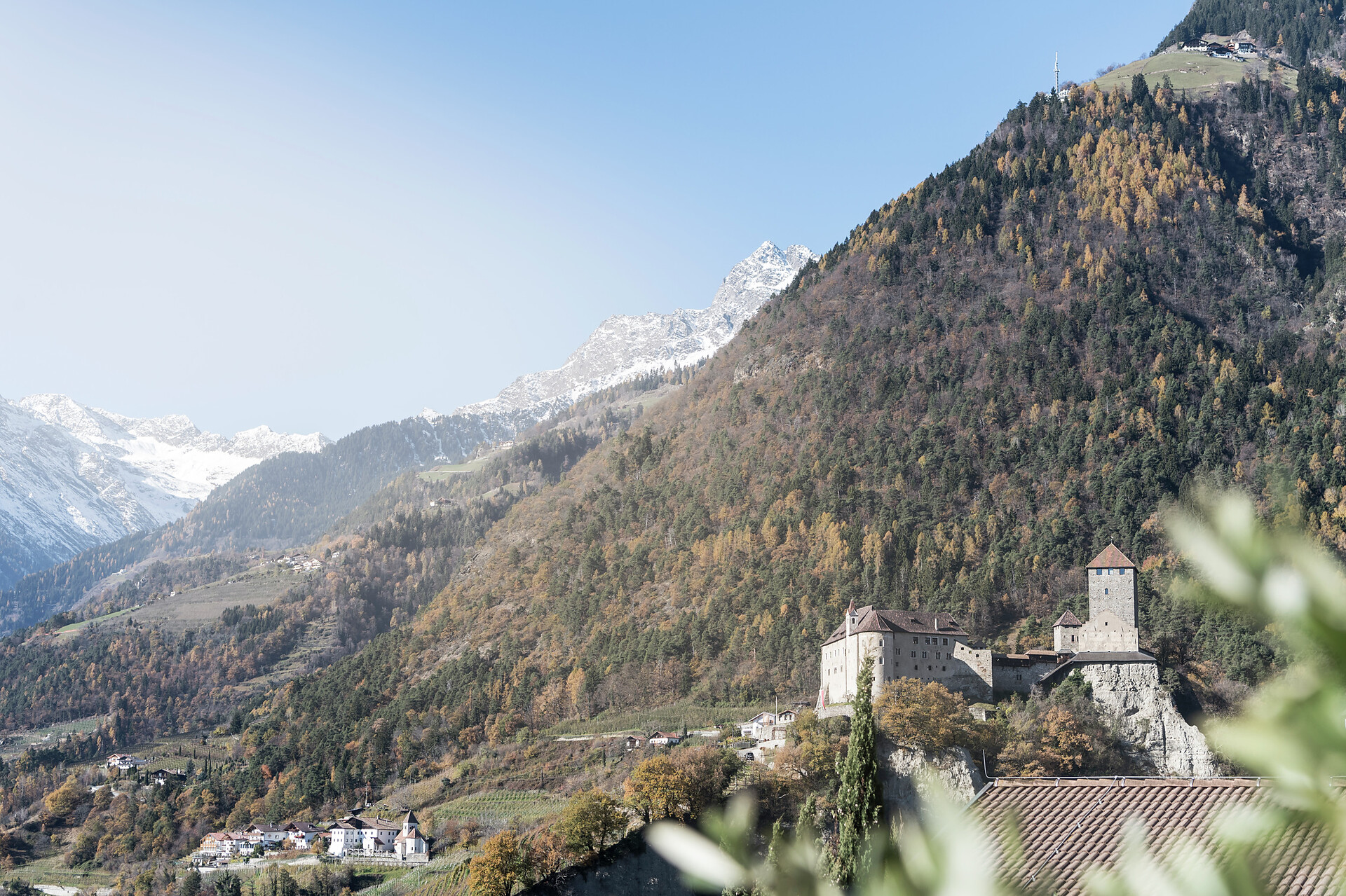 AlpineBits