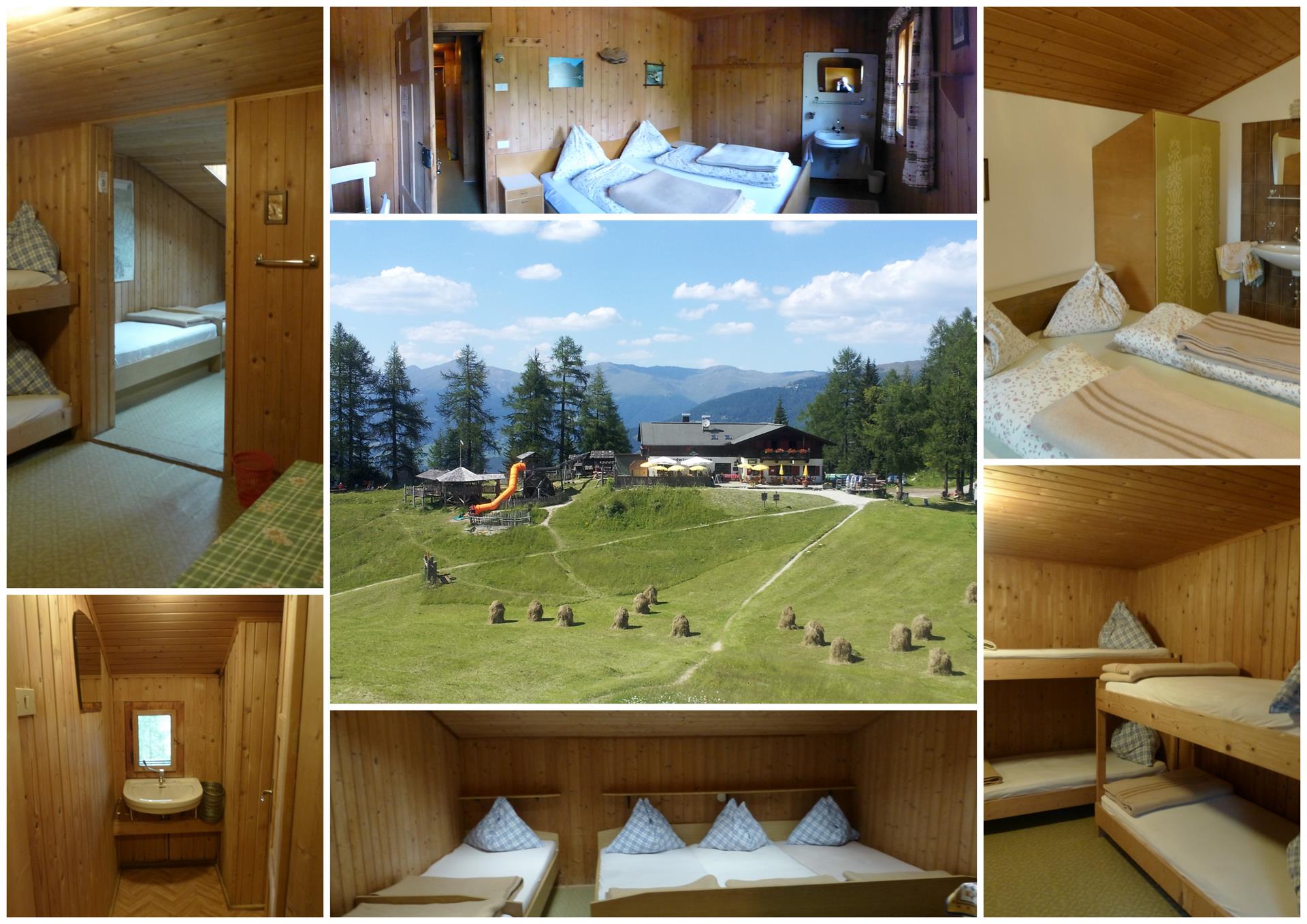 Rotwandwiesenhütte / Rif. Prati di Croda Rossa Sexten/Sesto 9 suedtirol.info