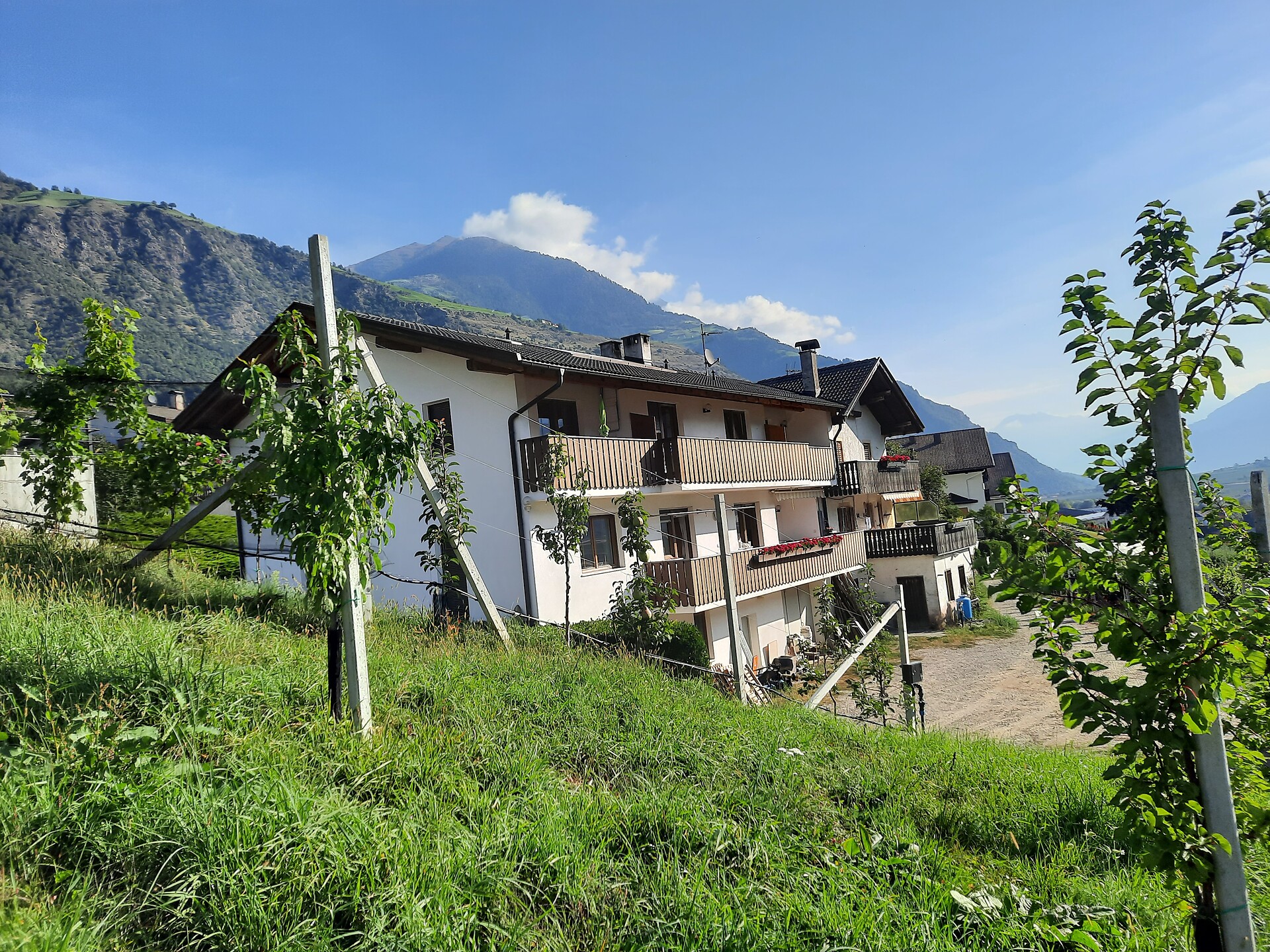 Das Haus