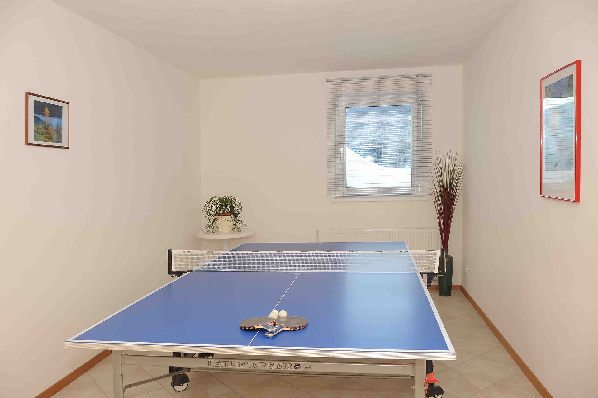 tischtennis raum