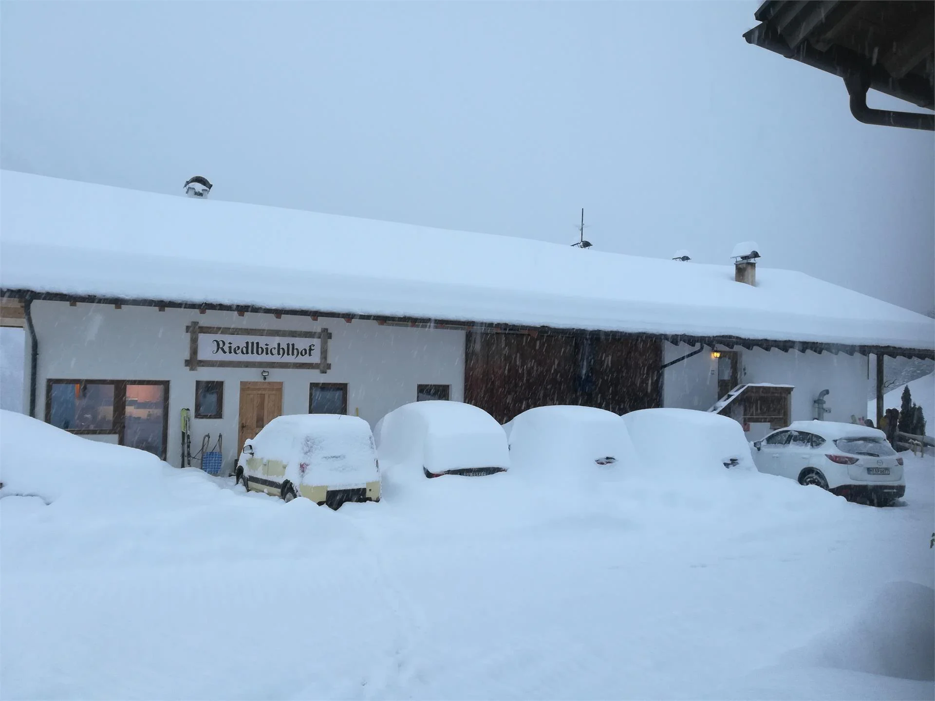 Riedlbichlhof Brennero 8 suedtirol.info