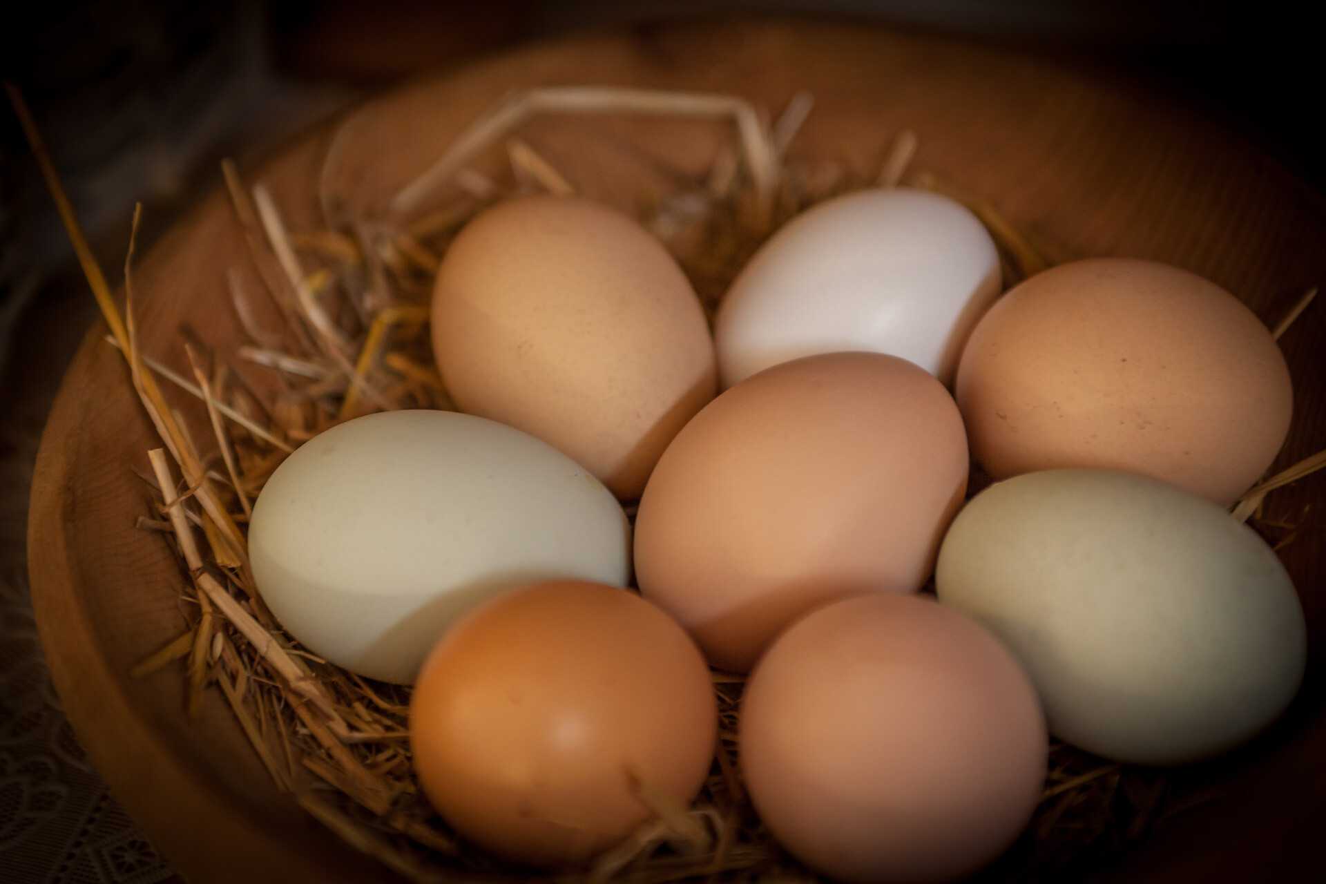 eggs