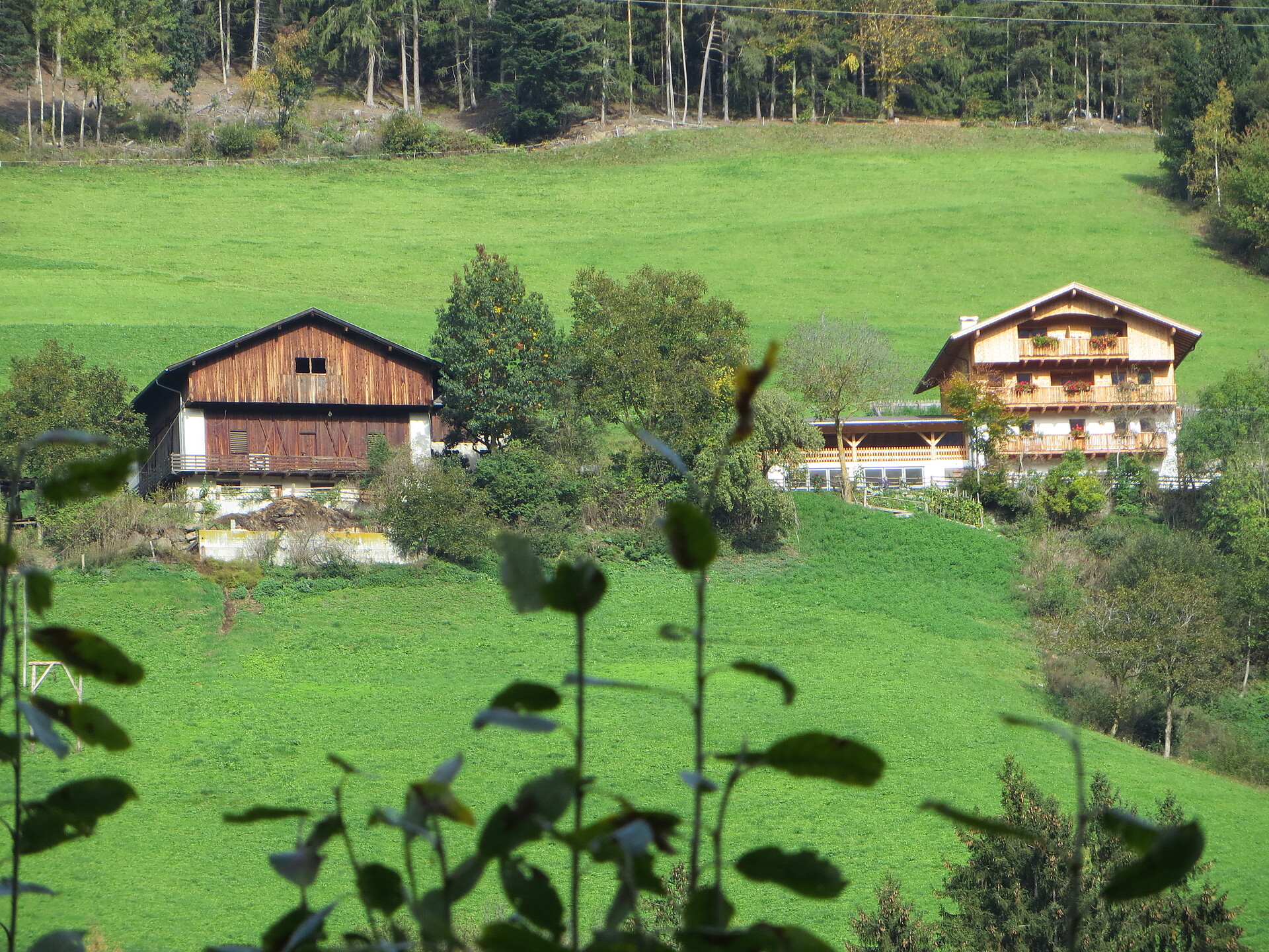 Raffreiderhof