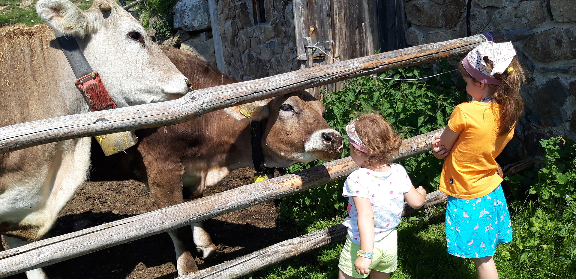 Children with the cows
