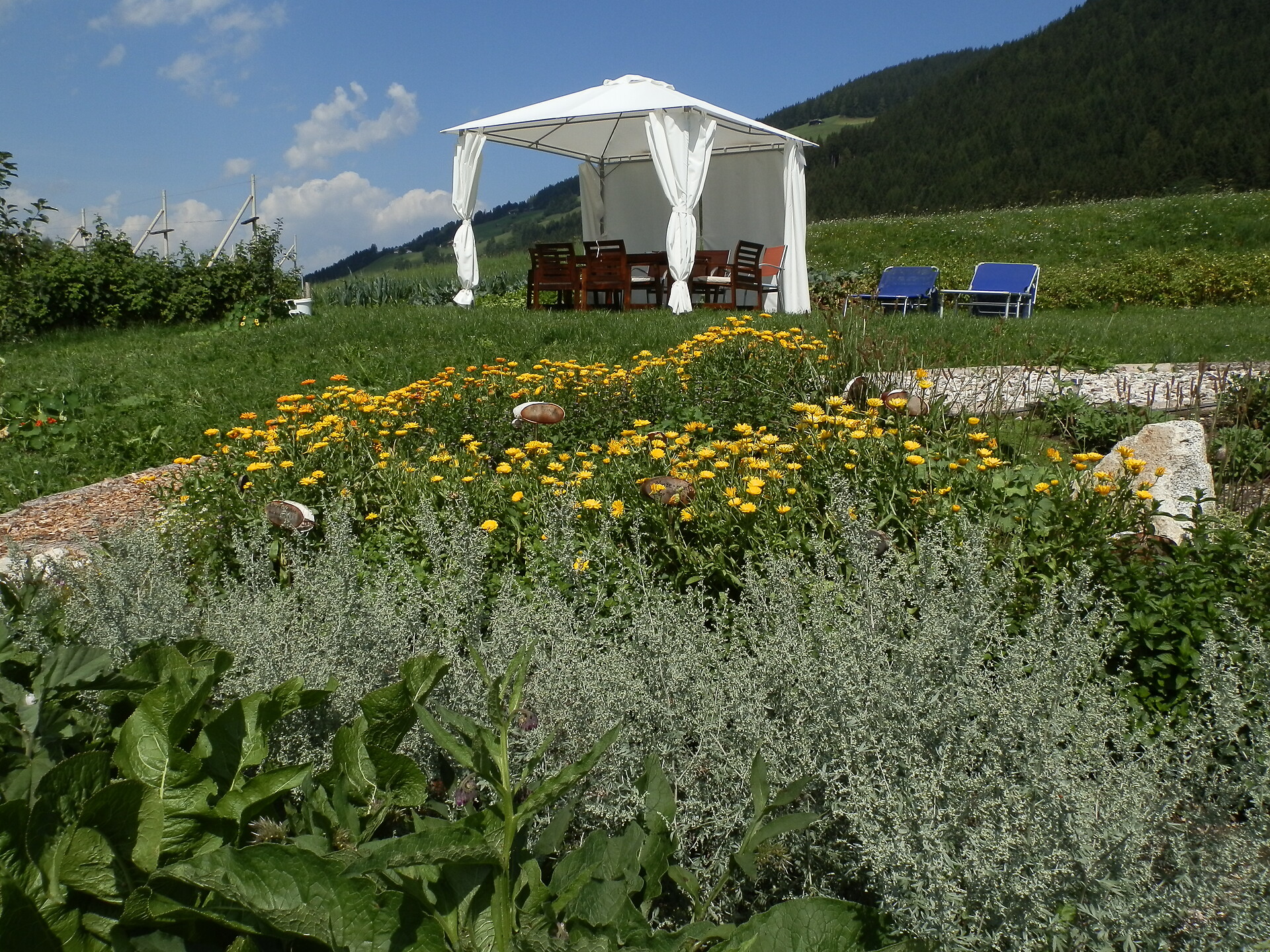 Kräutergarten