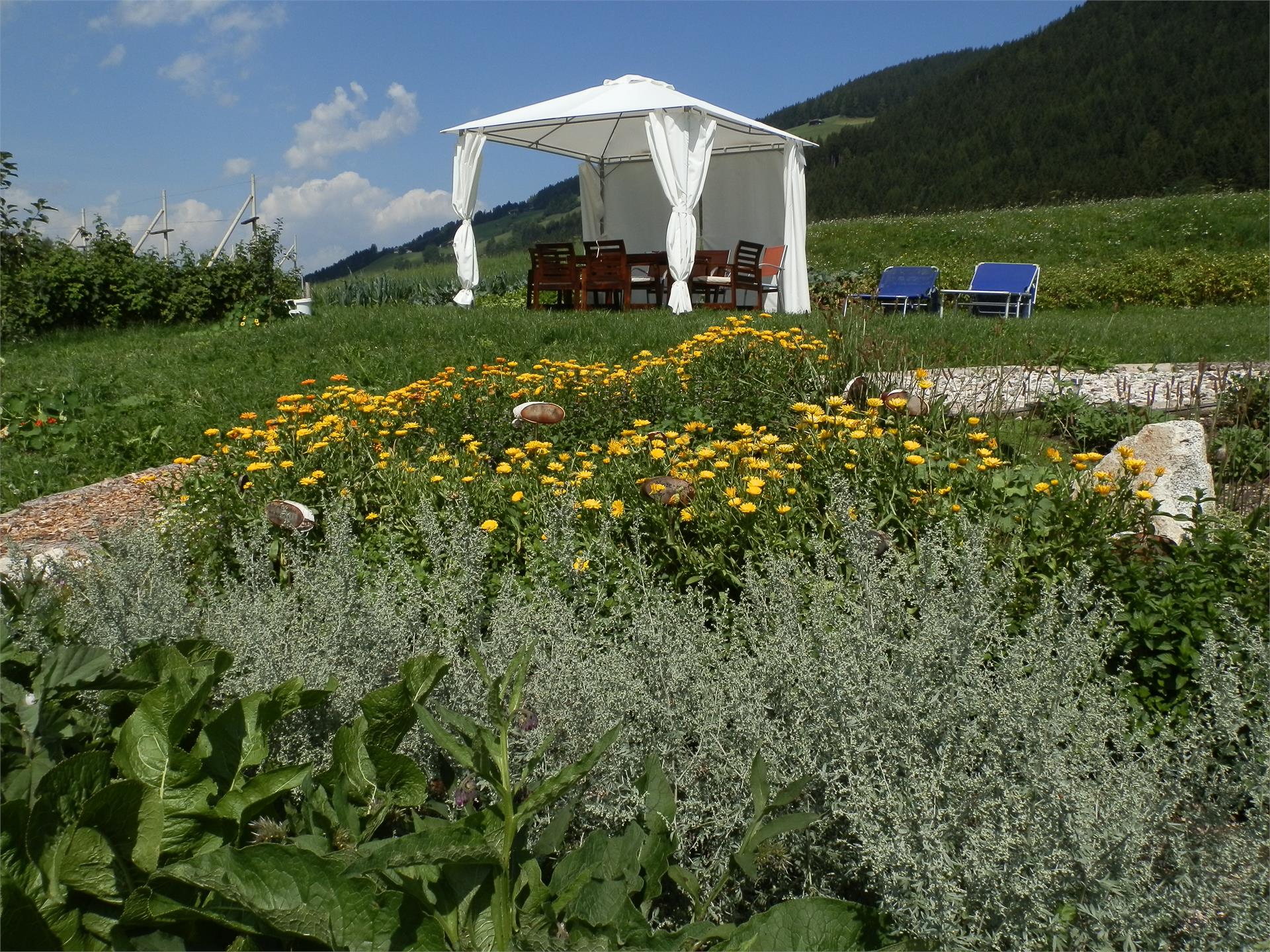 Rienznerhof Villabassa 4 suedtirol.info