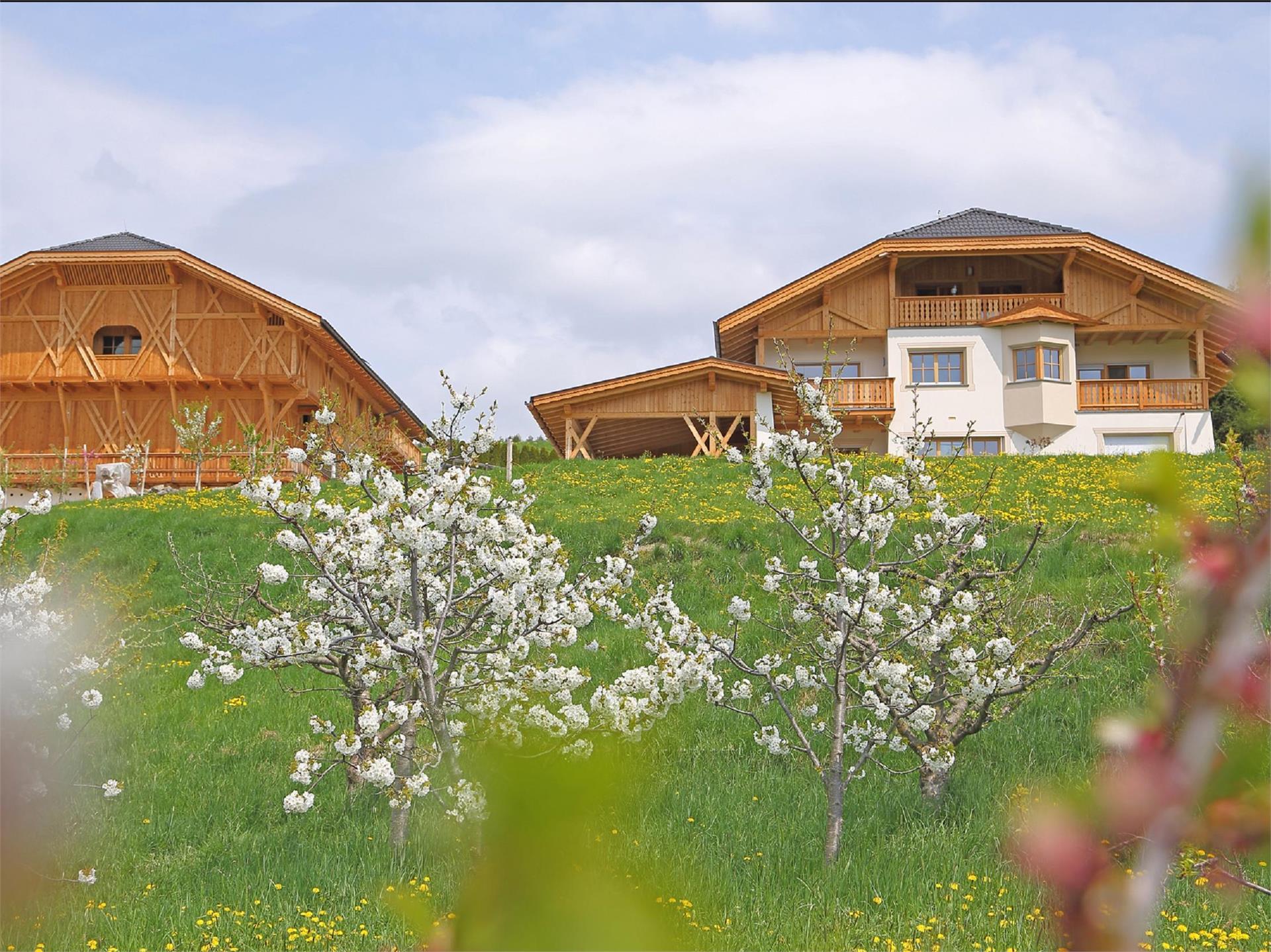 Roderer Hof Laion 2 suedtirol.info