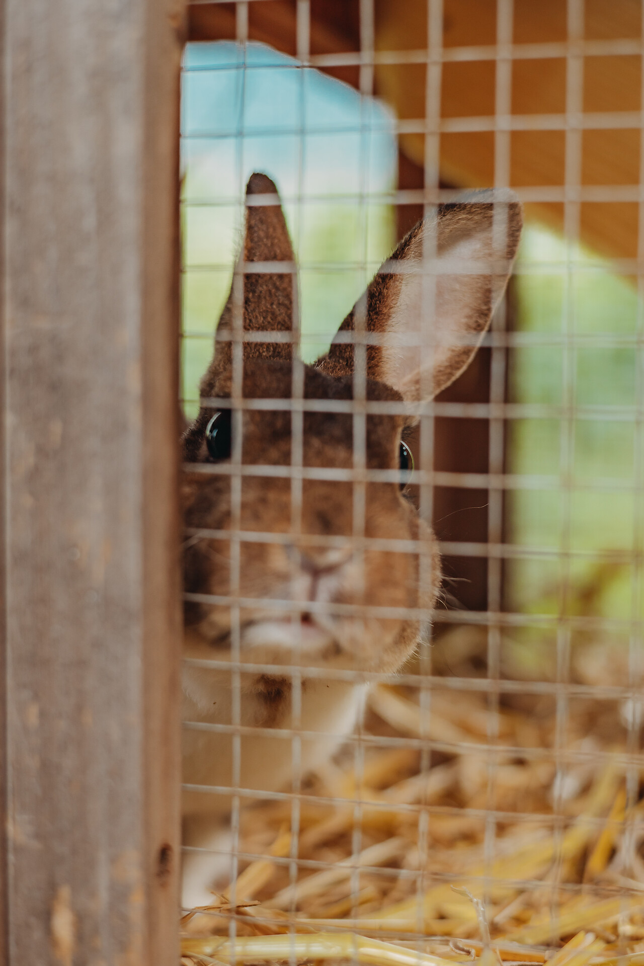 Veduta della residence e dintorni