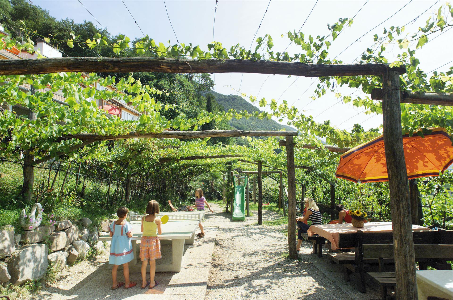 Residence Haus Kalterer See Caldaro sulla Strada del Vino 11 suedtirol.info