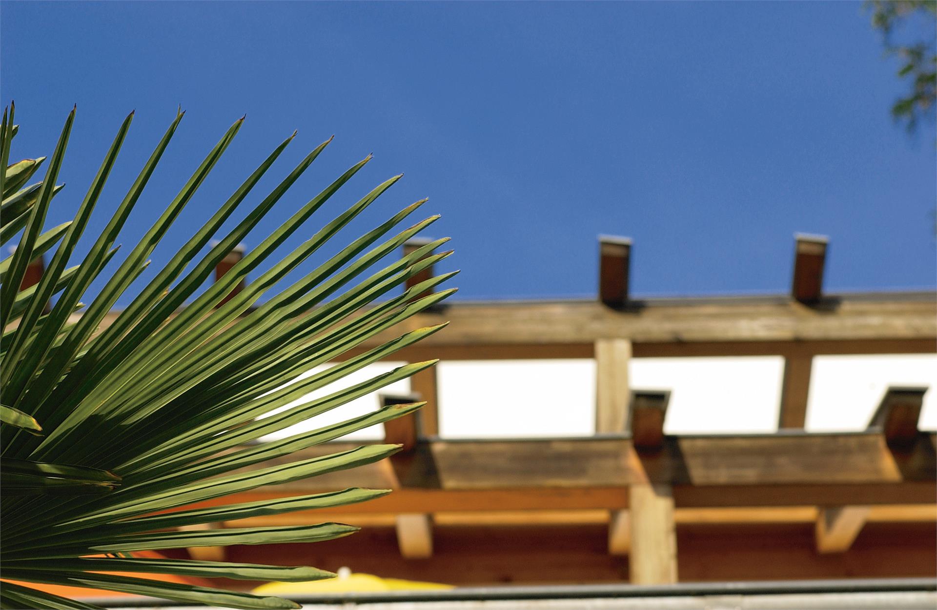 Residence Haus Kalterer See Caldaro sulla Strada del Vino 16 suedtirol.info